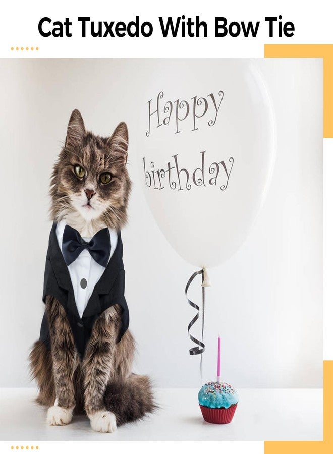 دينتران طقم بدلة رسمية للقطط من دينترون، زي رسمي لقطط سفينكس مع ربطة عنق، قميص أنيق للقطط، ملابس فاخرة، زي رسمي للقطط الصغيرة، زي زفاف للقطط فقط - Image 3